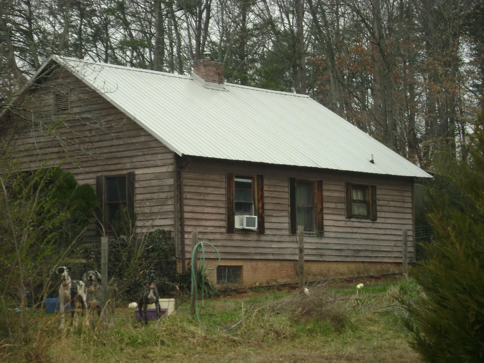 White metal roof on an old wood sided farmhouse, from a Asphalt Shingle Roof Repair job in Glenns Ferry